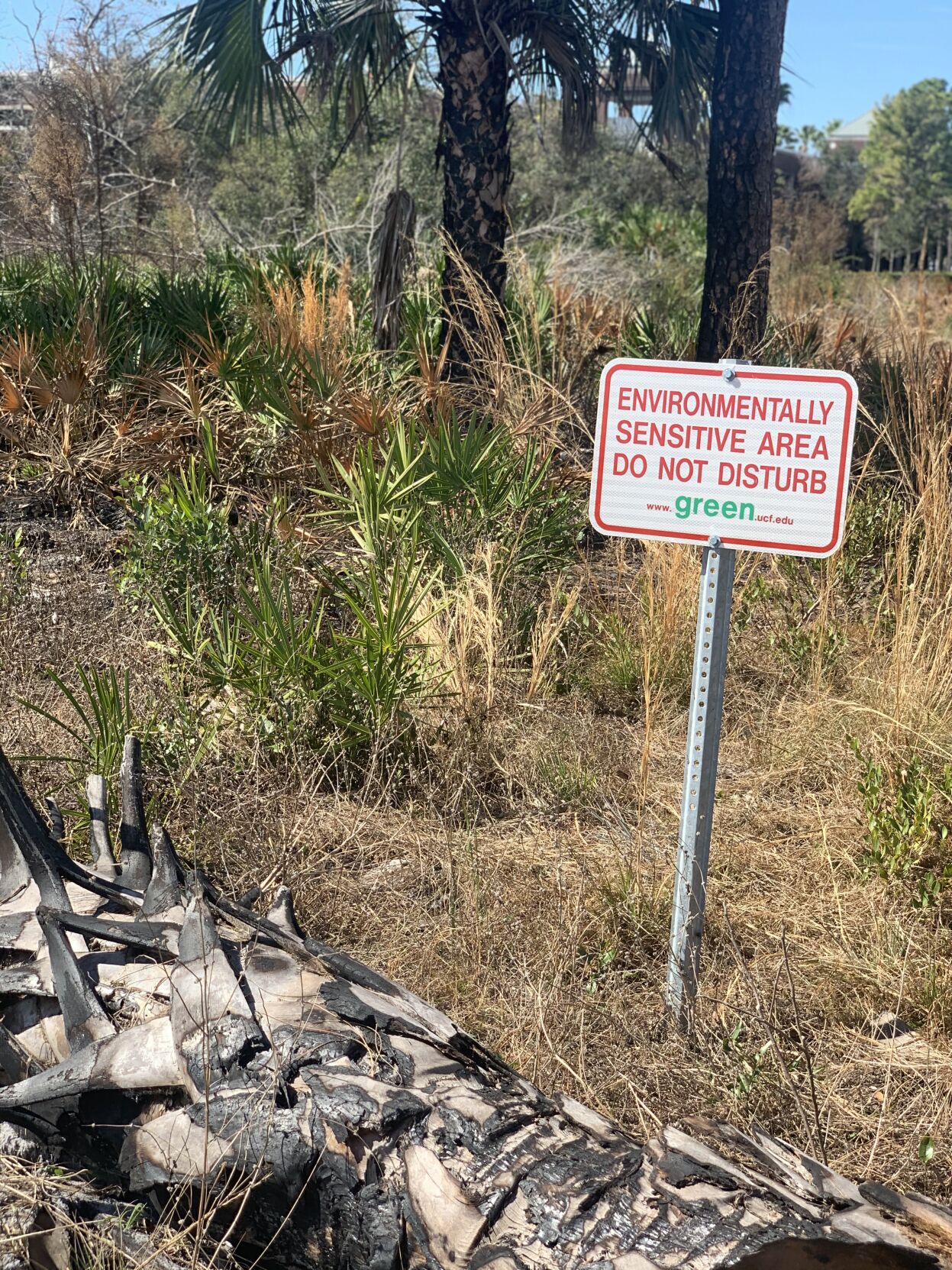 COVID-19 may have helped UCF reach its Climate Action Plan goal